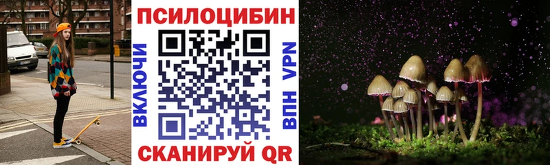 Псилоцибиновые грибы ЛСД  Купить закладки  Зеленогорск 